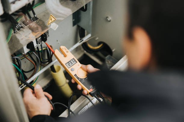 Best Electric Panel Repair  in Coal City, IL